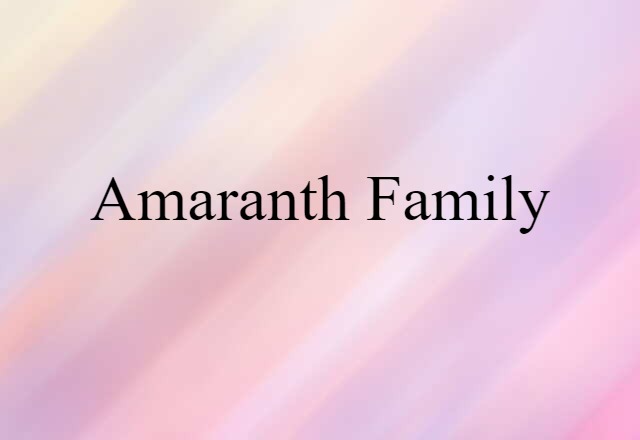 Amaranth Family (noun) Definition, Meaning & Examples