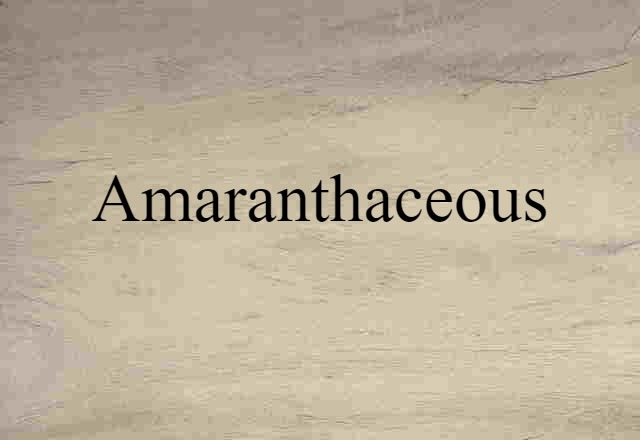 Amaranthaceous (noun) Definition, Meaning & Examples