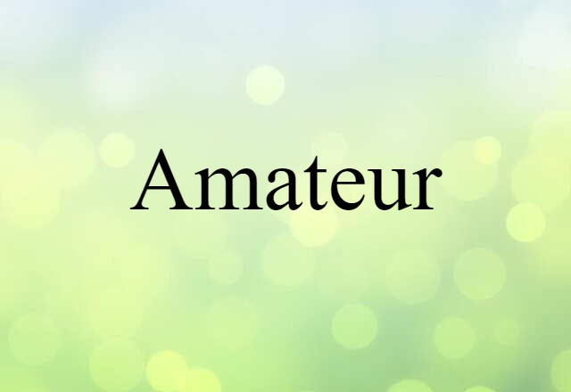 Amateur (noun) Definition, Meaning & Examples