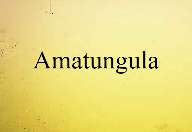 amatungula