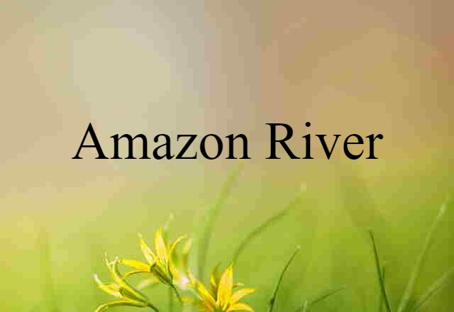 Amazon River