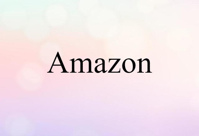 Amazon (noun) Definition, Meaning & Examples