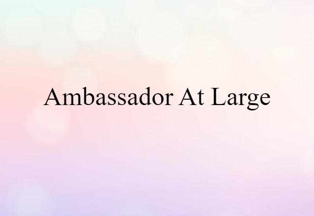 Ambassador-at-large (noun) Definition, Meaning & Examples