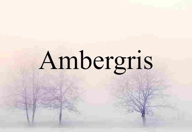 ambergris