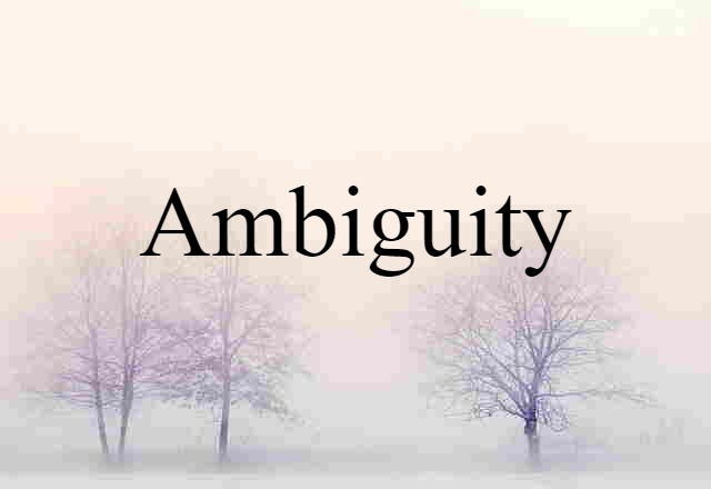 ambiguity