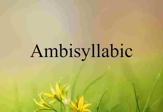 Ambisyllabic (noun) Definition, Meaning & Examples