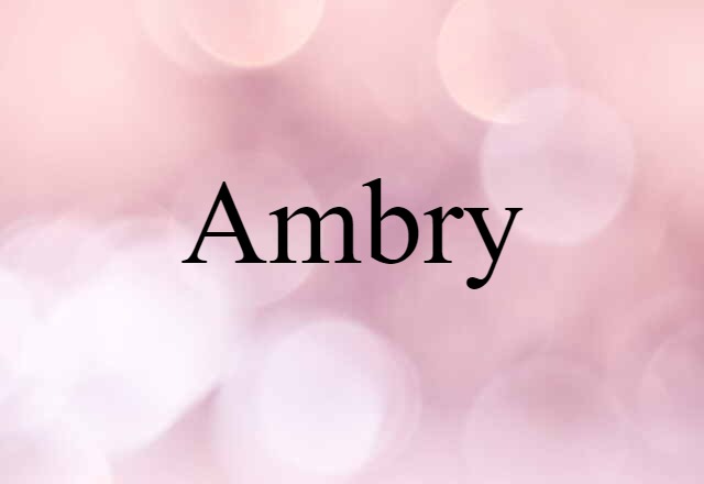 Ambry (noun) Definition, Meaning & Examples