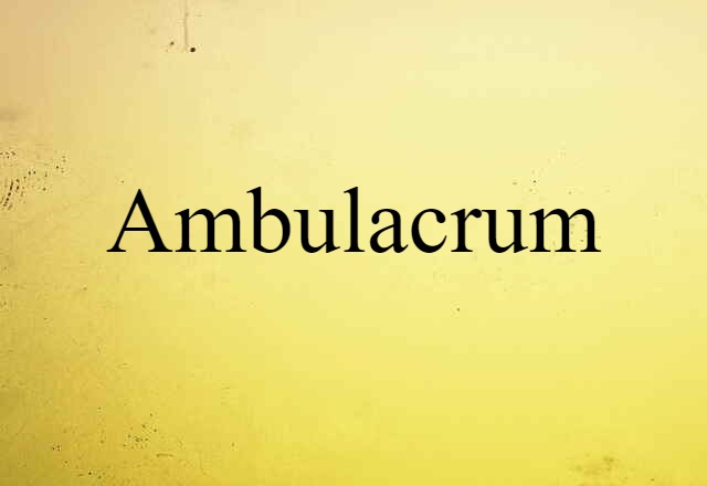 ambulacrum