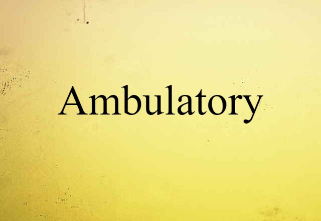 Ambulatory (noun) Definition, Meaning & Examples