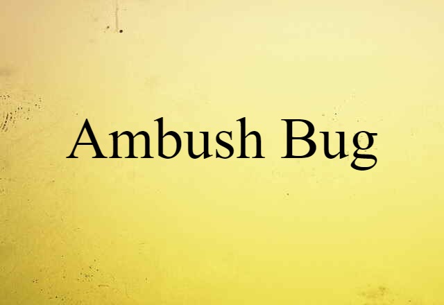 ambush bug