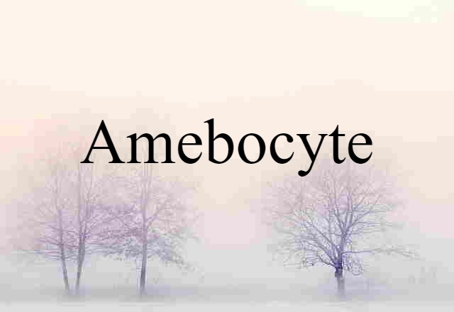 amebocyte