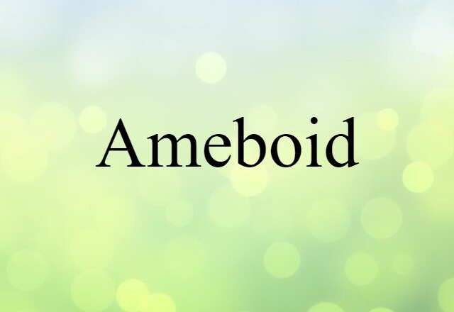 Ameboid (noun) Definition, Meaning & Examples