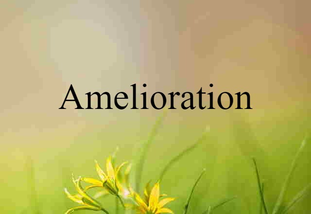 Amelioration (noun) Definition, Meaning & Examples