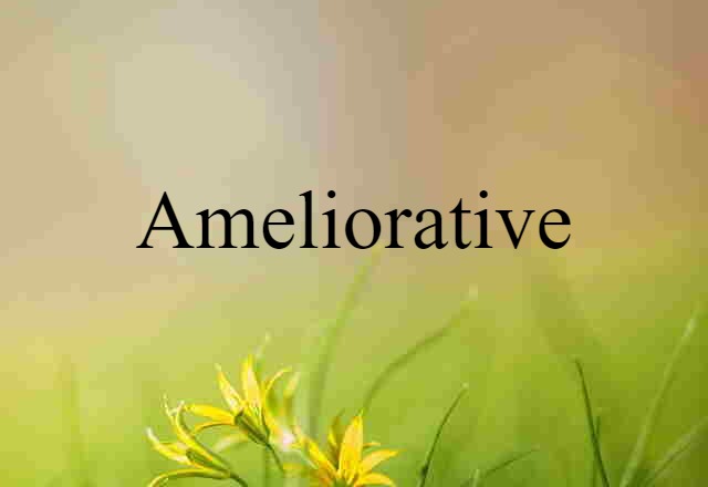 Ameliorative (noun) Definition, Meaning & Examples