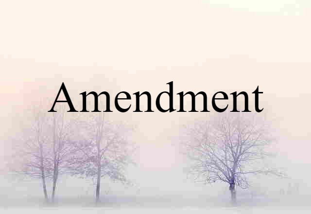 Amendment (noun) Definition, Meaning & Examples