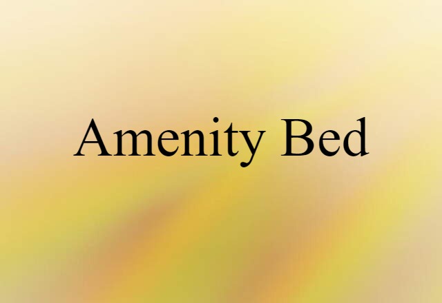 Amenity Bed (noun) Definition, Meaning & Examples