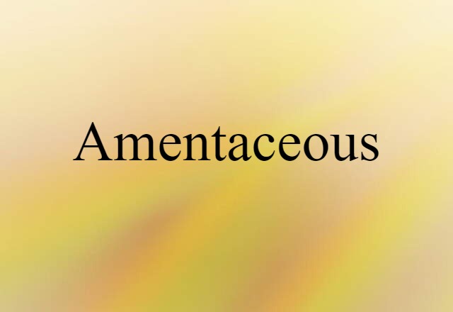 amentaceous