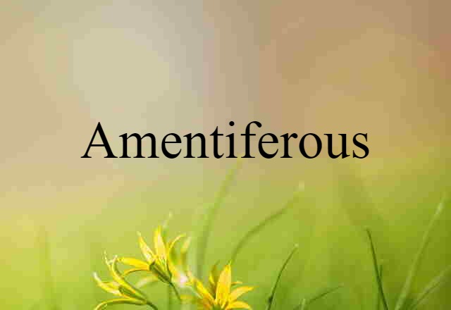 amentiferous