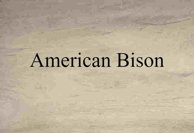 American Bison (noun) Definition, Meaning & Examples