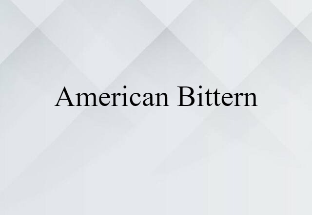 American Bittern (noun) Definition, Meaning & Examples