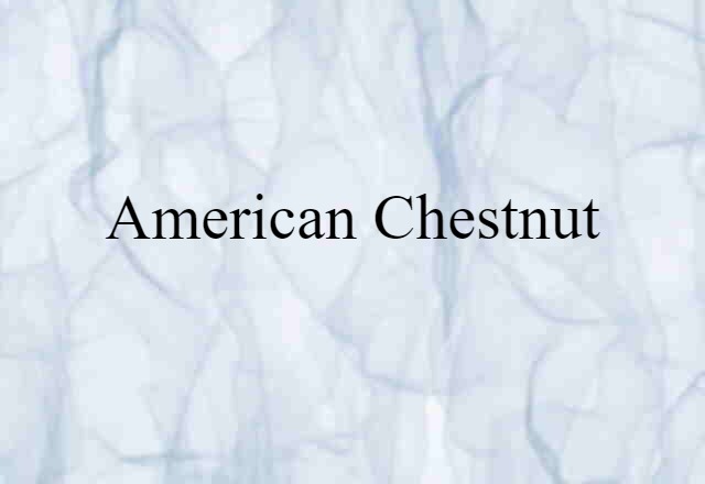 American chestnut