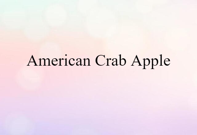 American crab apple