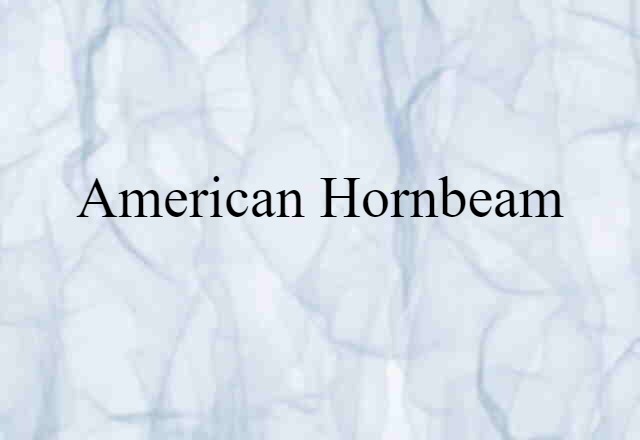 American hornbeam