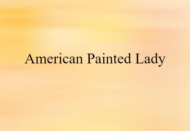 American painted lady