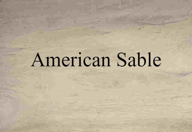 American Sable (noun) Definition, Meaning & Examples