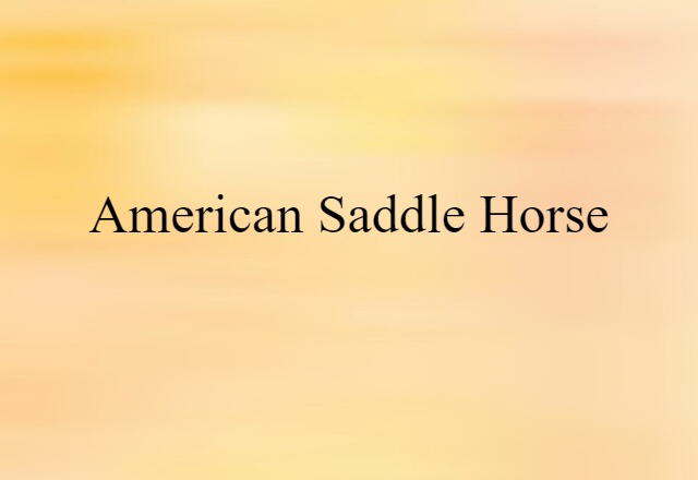 American Saddle Horse (noun) Definition, Meaning & Examples