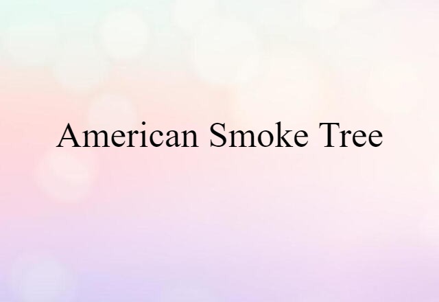 American smoke tree