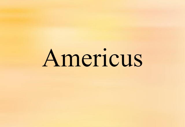 Americus (noun) Definition, Meaning & Examples