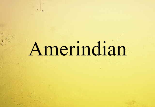 Amerindian (noun) Definition, Meaning & Examples