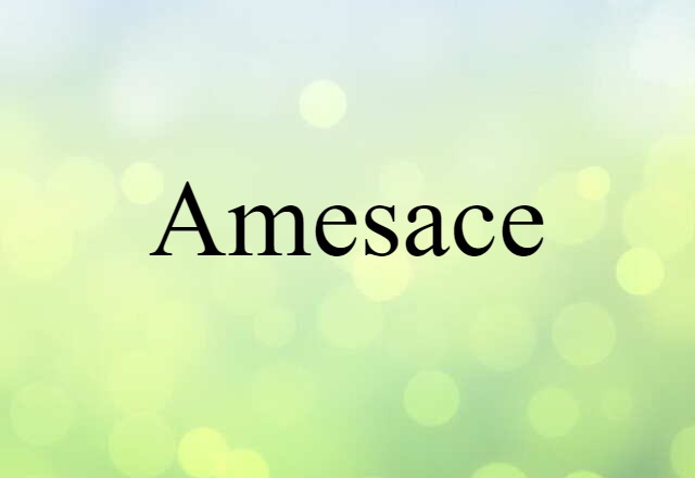 Amesace (noun) Definition, Meaning & Examples