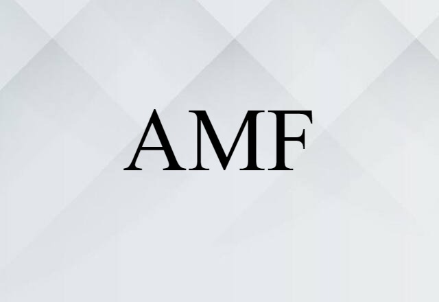 AMF (noun) Definition, Meaning & Examples