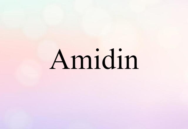 Amidin (noun) Definition, Meaning & Examples