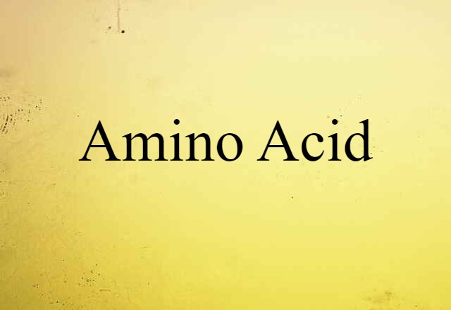 Amino Acid (noun) Definition, Meaning & Examples