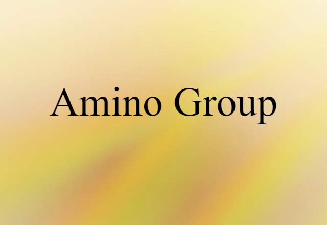 Amino Group (noun) Definition, Meaning & Examples