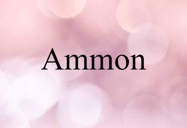 Ammon (noun) Definition, Meaning & Examples