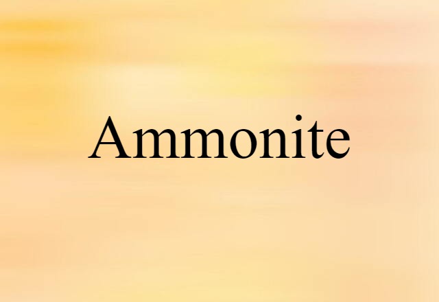 Ammonite (noun) Definition, Meaning & Examples