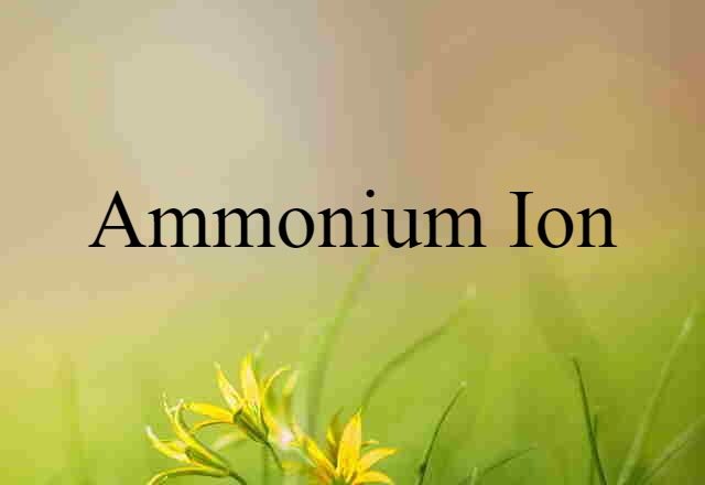 Ammonium Ion (noun) Definition, Meaning & Examples