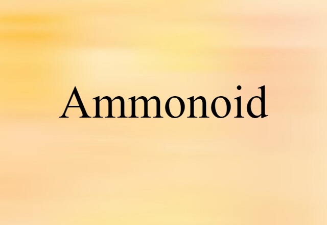 ammonoid