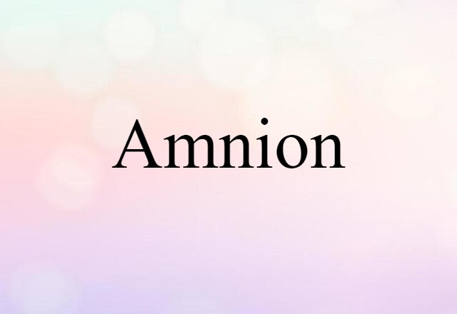 amnion