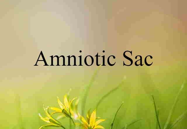 amniotic sac