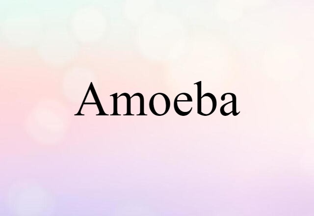 amoeba