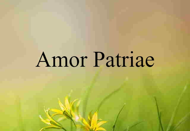 Amor Patriae (noun) Definition, Meaning & Examples