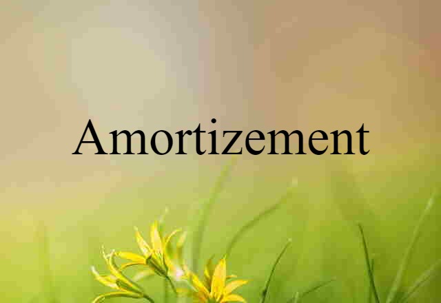 Amortizement (noun) Definition, Meaning & Examples