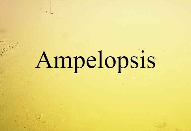 ampelopsis