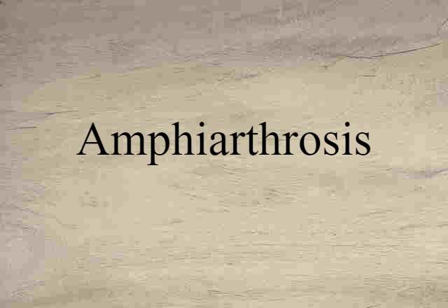 amphiarthrosis