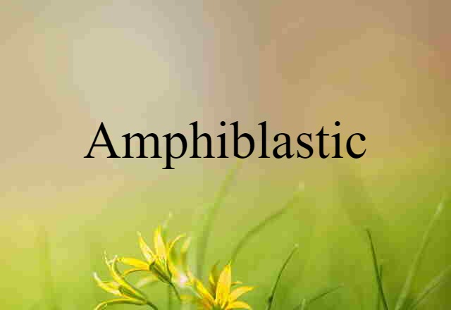 amphiblastic